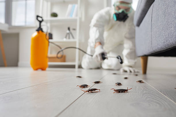 Post-Treatment Bed Bug Interceptor Monitoring in Butler